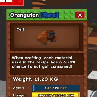 11.20kg Base! Godly Orang Utan