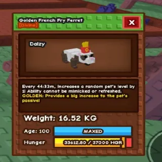 16.5kg! Golden French Fry Ferret