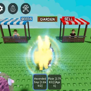 ASCENDED IMP AGE18 3,84KG