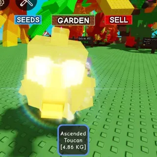 Ascended Toucan 4.86kg Age15