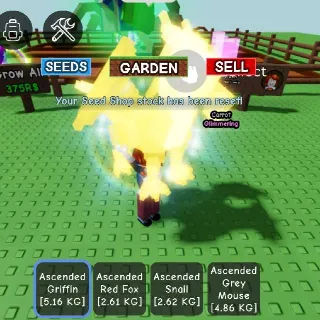 ASCENDED GRIFFIN AGE36 - GROW A GARDEN