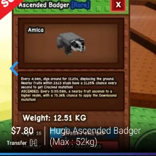 Huge Ascended Badger If Max 52kg