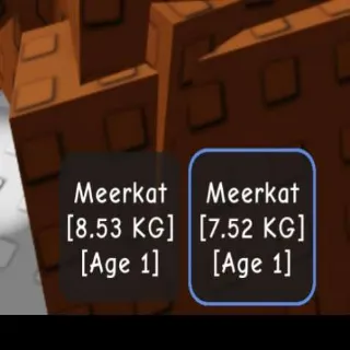 ✅️cheap✅️ 2x Titan Meerkat