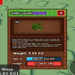 42kg If Max! Semi Huge Crocodile