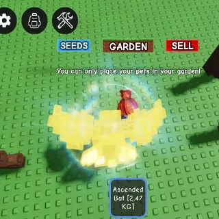 Ascended Bat Age3 2.47kg