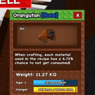 11.27kg Base! Godly Orangutan