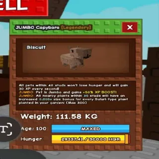 111.58kg! Colossal Godly Capybara Jumbo