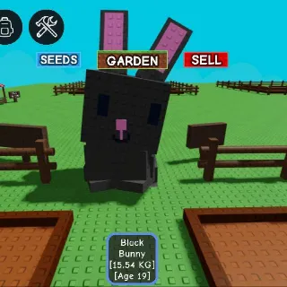 Huge Black Bunny (MaxLv : 58.94kg)