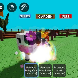 Rainbow Dairy Cow 4.22kg Age 14