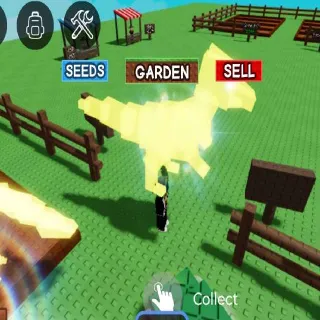 ASCENDED RAPTOR 7.8KG AGE37