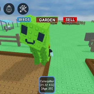 HUGE CATERPILLAR 21.32KG AGE25 (MAX67.01KG)