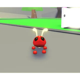 neon ant
