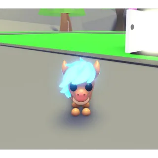 neon showpony
