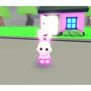 neon bunny