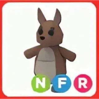 NFR Kangaroo ADOPT ME