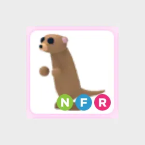 NFR Meerkat
