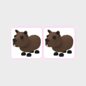 2x Capybara