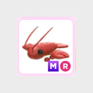MR Lobster