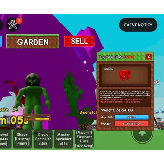 Rainbow hatched elephant 61.63kg 