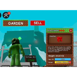 rainbow hatched elephant 60kg