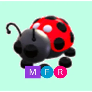 MFR Ladybug