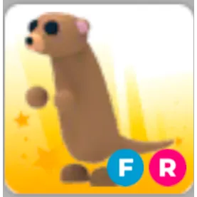 FR Meerkat