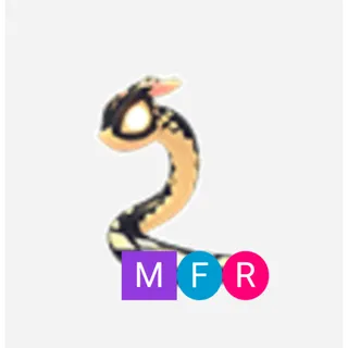 MFR Gilded snake