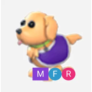 MFR Therapy Dog