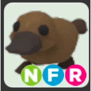 NFR Platypus