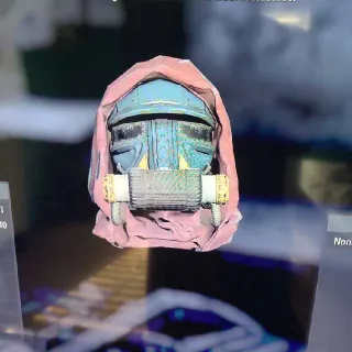 blue ridge caravan mask