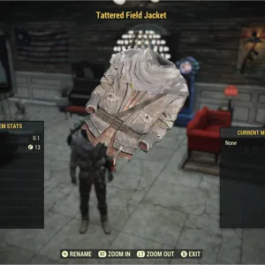 tattered field jacket