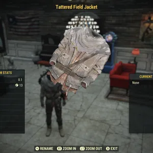 tattered field jacket