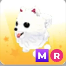 MR Samoyed
