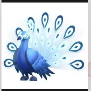 moonbeam peacock