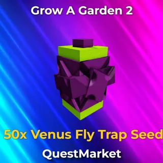 50x Venus Fly Trap Seed Grow a garden 2