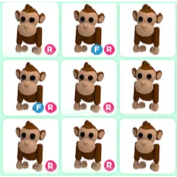 Pet | 16x Monkey Bundle