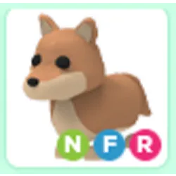 Pet | NFR Dingo