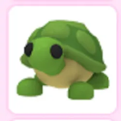 Pet | Turtle