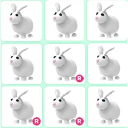 Pet | 9x Rabbit Bundle