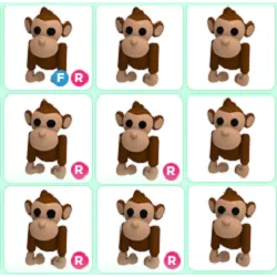 Pet | 17x Monkey Bundle