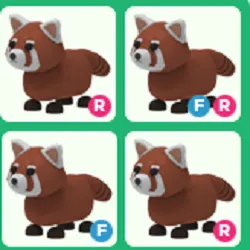 4x Red Panda FG Full Grown