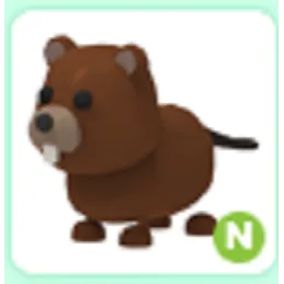 Pet | N Beaver