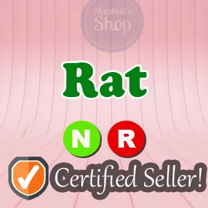 NR Rat Sunshine