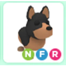 Pet | NFR Australian Kelpie