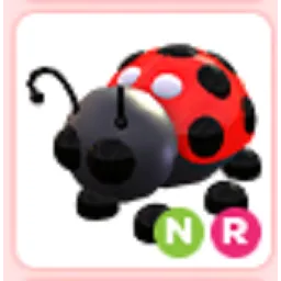 Pet | NR Ladybug