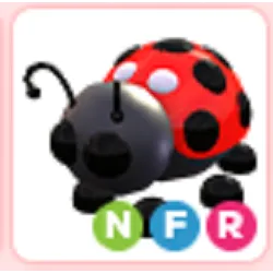 Pet | NFR Ladybug