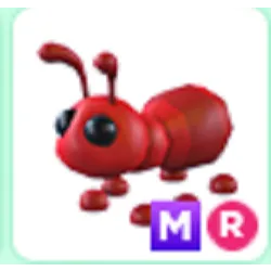 MR Ant