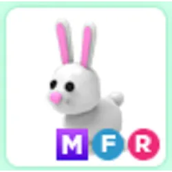 Pet | MFR Bunny