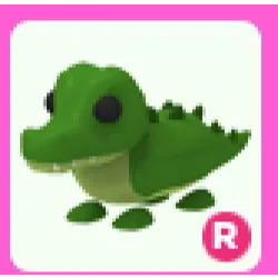 Pet | R Crocodile