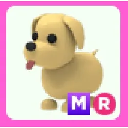 Pet | MR Dog